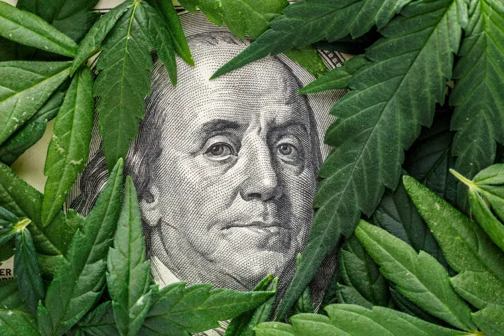 Dollar bill surrounded by cannabis leaves, symbolizing cannabis marketing and financial growth in the industry.