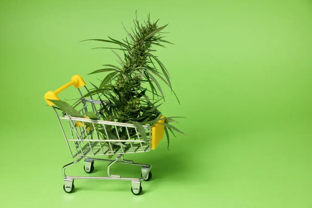 Shopping cart filled with cannabis plant against a green background, symbolizing cannabis marketing and advertising strategies.
