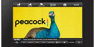 Peacock branding featuring a colorful peacock against a vibrant yellow background, highlighting digital advertising opportunities for brand visibility.