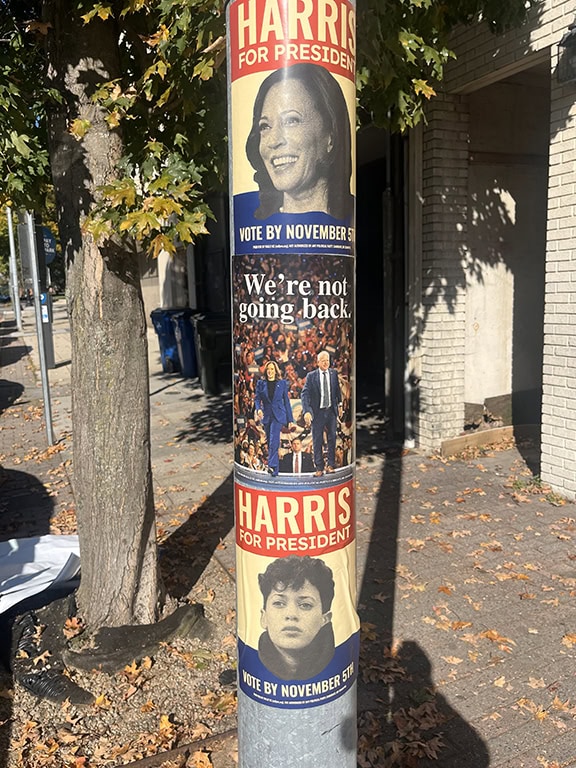 Street pole with political campaign posters.
